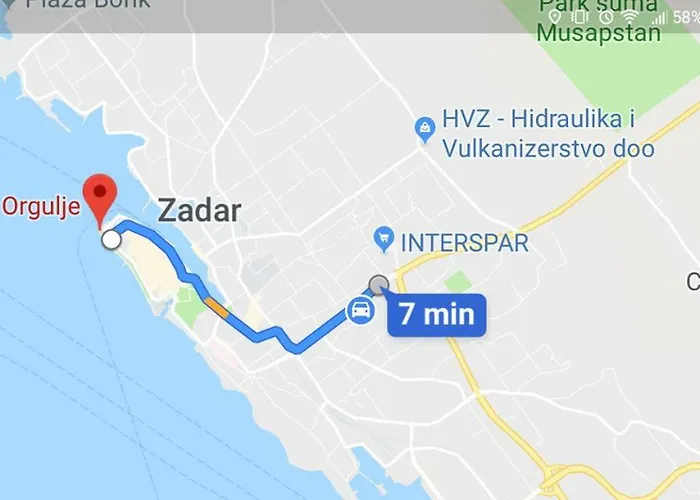 Neluna Zadar